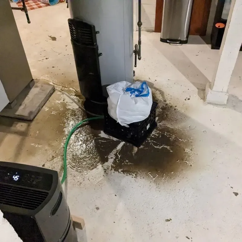 Sewage Backup Cleanup Service in Whitesboro-Burleigh, NJ